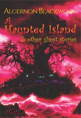 A HAUNTED ISLAND front A HAUNTED ISLAND front